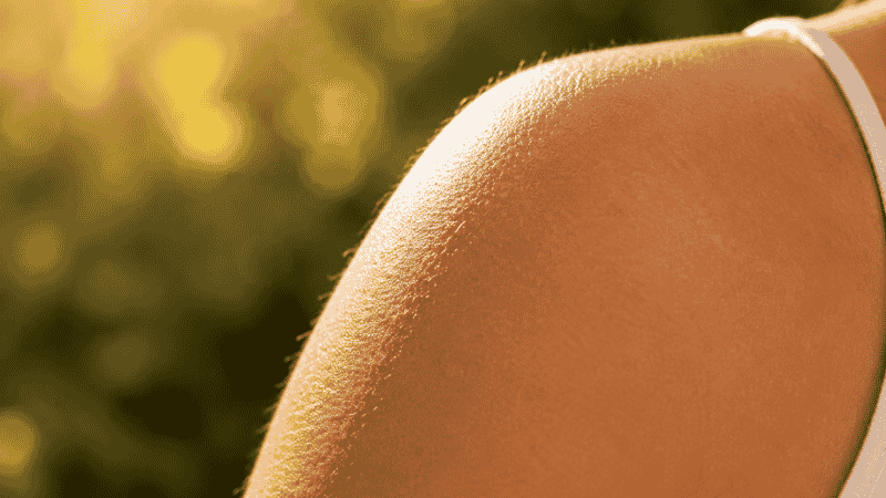 Sunlight falling on bare skin representing the natural synthesis of vitamin D3 through UV-B exposure outdoors