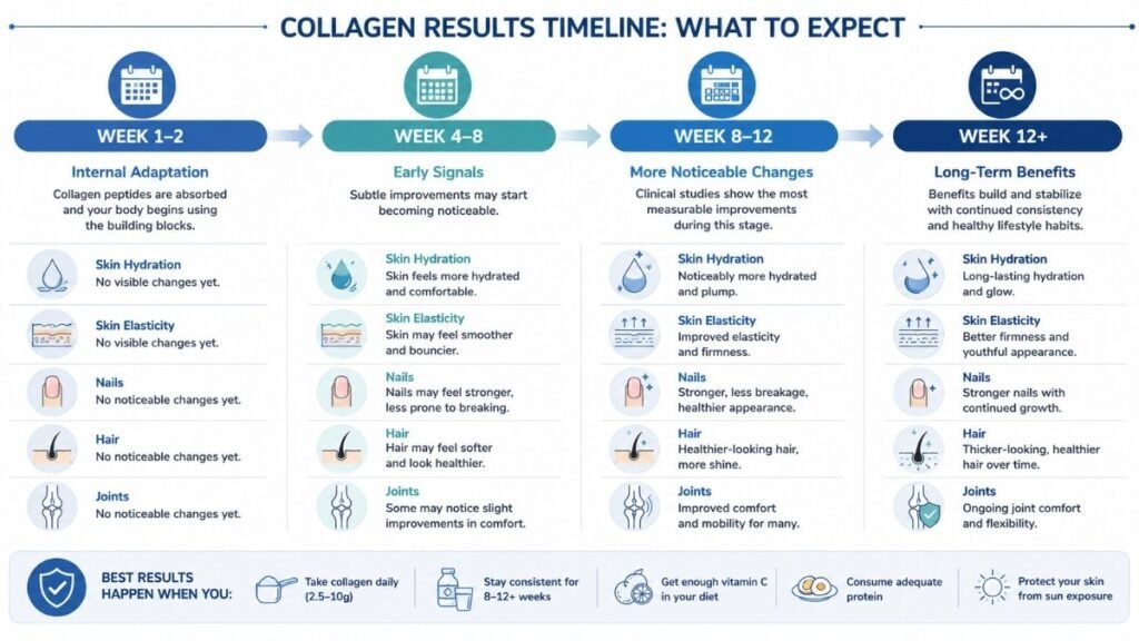 Timeline illustrating expected collagen supplement results from week 1 through week 12.